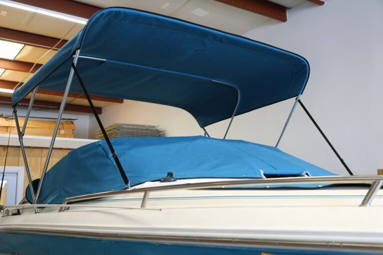 Boat with a Bimini top